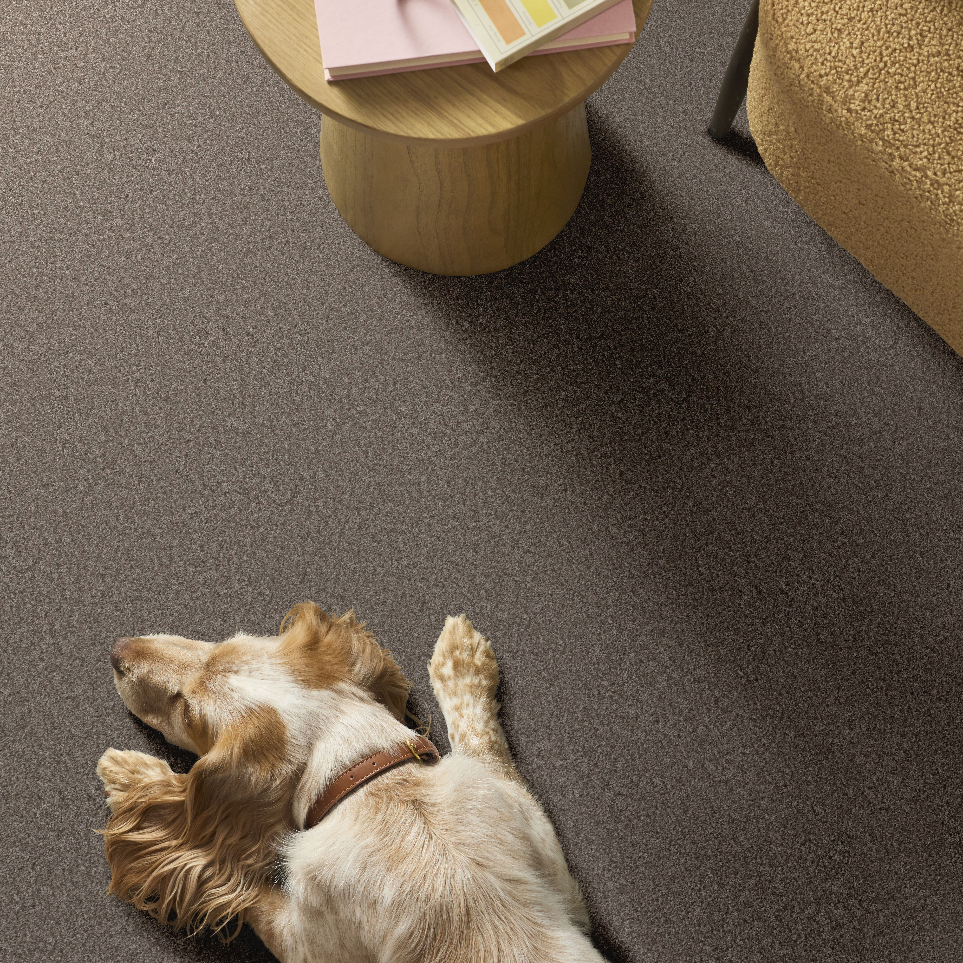 You Got This Ii - Cobblestone Carpet | Shaw Floors